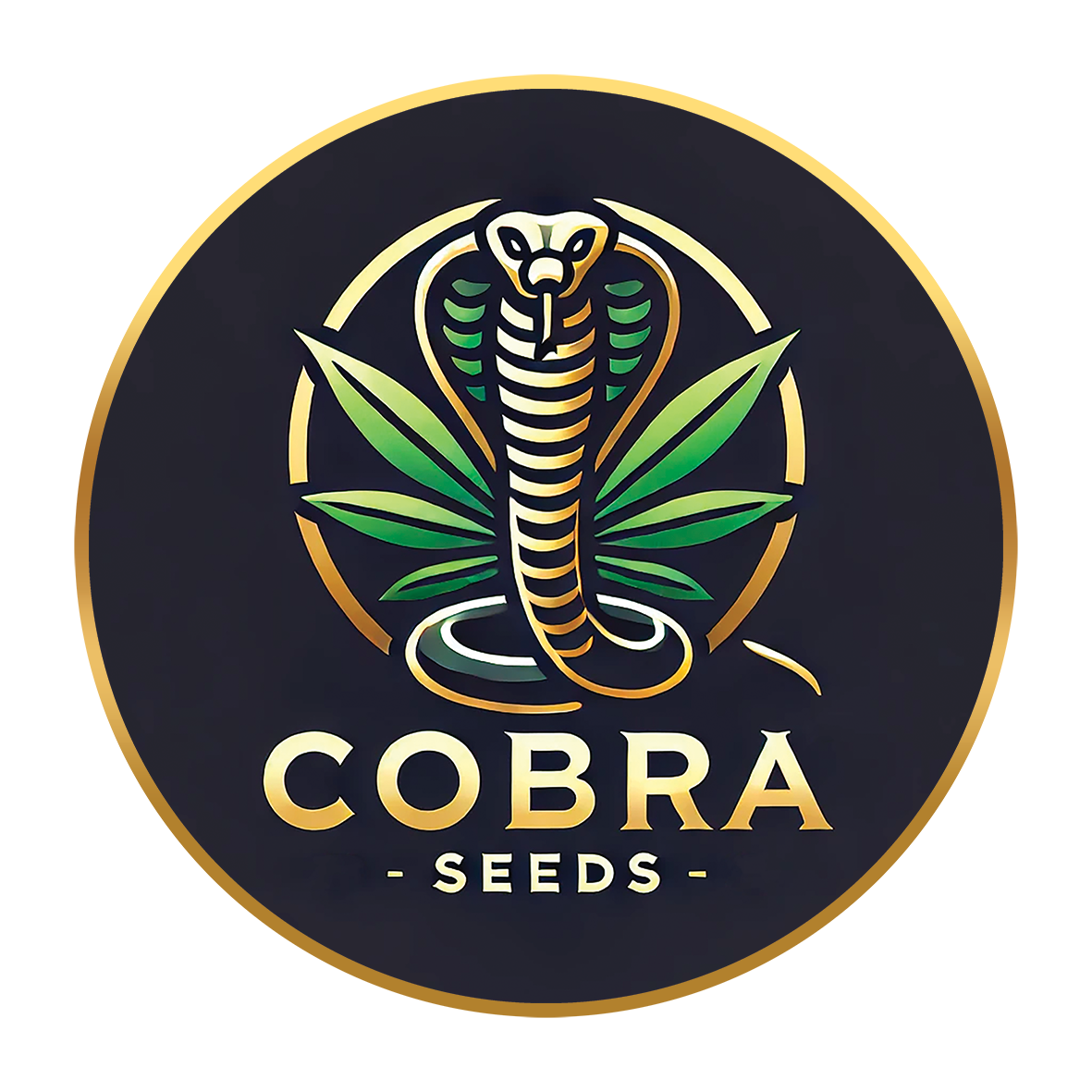 cobra seeds malé